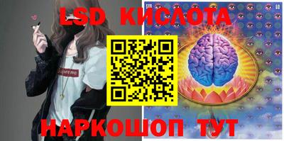 амф Заволжье