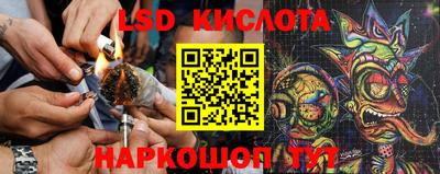 амф Заволжье