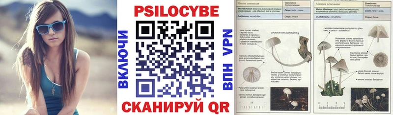 Галлюциногенные грибы Cubensis  хочу наркоту  Юрга 