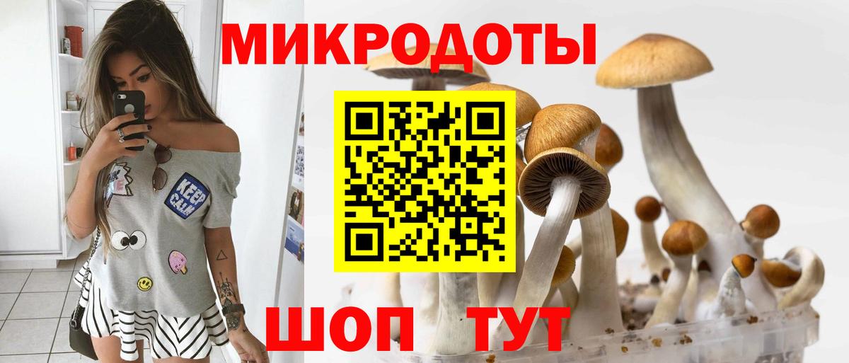 Галлюциногенные грибы MAGIC MUSHROOMS  Вход с VPN  закладки  Псилоцибиновые грибы мицелий  Юрга 